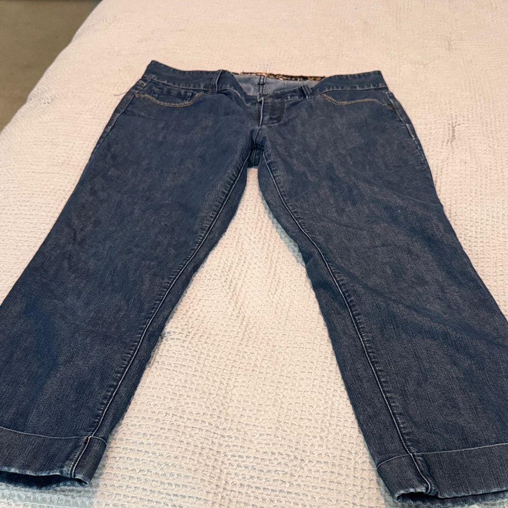 EXPRESS Stella Capris